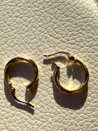 Earings-18kt gold
