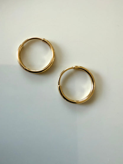Earings 18kt Gold